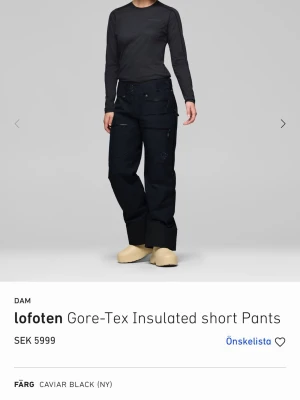 Svarta Gore-Tex täckbyxor från Norrøna - Säljer ett par svarta fodrade Lofoten Gore-Tex Insulated täckbyxor från Norrøna. Byxorna har flera dragkedjeförsedda fickor, justerbar midja och förstärkta benslut. Tillverkade i slitstarkt och vattentätt Gore-Tex-material, perfekta för vinterns alla äventyr. Hängslerna är på och avtagbara