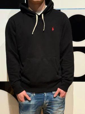 Polo Ralph Lauren hoodie  - Polo Ralph Lauren hoodie säljs nu riktigt skön hoodie:)