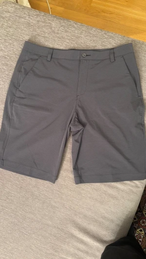 Grå randiga shorts från Puma - Snygga grå shorts från Puma med diskreta ränder och klassisk passform. Shortsen har bälteshällor, knapp och dragkedja framtill samt två sidofickor. Perfekta för sommardagar och avslappnade tillfällen.