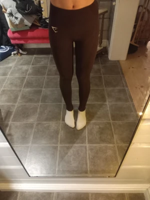 Bruna seamless leggings från Gymshark - Säljer ett par bruna seamless leggings från Gymshark med hög midja och tight passform. De har diskret logga på höften och är tillverkade i stretchigt material som sitter skönt och formar sig efter kroppen. Perfekta för träning eller chill.(Färgen är mer rödbrun jämfört med bilderna). Andvänd några fåtal gånger.