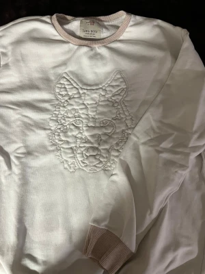 Sweatshirt  - En tjockare tröja till killar i unga tonår , 13-14 