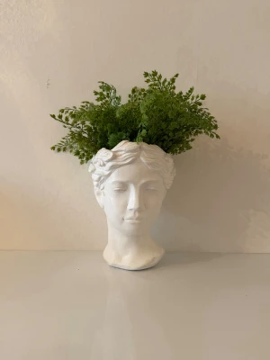 Venus huvud  - Säljer en dekorativ ett klassiskt huvud, perfekt som inredningsdetalj. Snygg och unik detalj till hemmet. Det är inte av plast! 