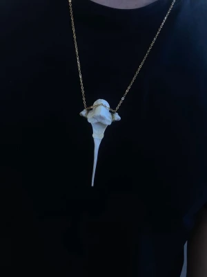 Halsband med ben  - Unikt halsband Benet har en naturlig, spetsig form och ger ett coolt uttryck. Perfekt för dig som vill sticka ut med ett smycke som känns både bohemiskt och trendigt.