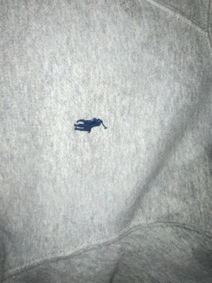 grå Ralph raulen - Den är bra