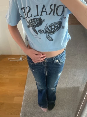 Blå crop top med sköldpaddor - Säljer en ljusblå crop top med tryck av två sköldpaddor och texten 'CORAL SEA' på bröstet. T-shirten har korta ärmar och rund halsringning. Perfekt för dig som gillar havsinspirerade motiv och en avslappnad stil.