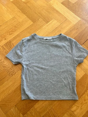 Grå basic t-shirt i bomull - En enkel och stilren grå t-shirt i mjuk bomull. Modellen har korta ärmar och rund halsringning, perfekt för en clean och avslappnad look. Passformen är normal och tyget är tunt och skönt mot huden.