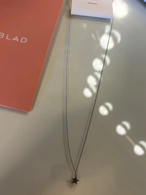 Silverhalsband med stjärnhänge Edblad - Snyggt och stilrent halsband i silverfärg från Edblad med ett litet stjärnformat hänge. Jättebra skick, säljer för att jag inte använder silver längre