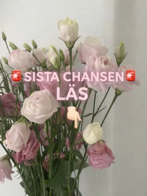 🚨SISTA CHANSEN🚨 - Nu är det verkligen sista möjligheten att fynda! Min Plick är öppen fram till söndag, därefter plockas allt som inte blivit sålt bort! Priser från endast 11kr. Jag postar i helgen & på måndag! Det här är din chans att göra riktigt bra kap innan jag stänger ner! ALLA KÖP SOM KOMMER IN, DET KOMMER BLI PACK VIDEOS PÅ MIN TIKTOK (ellaliiind)! MISSA INTE! 💛
