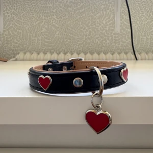 Hundhalsband  - Ett helt nytt hundhalsband på 35 cm!