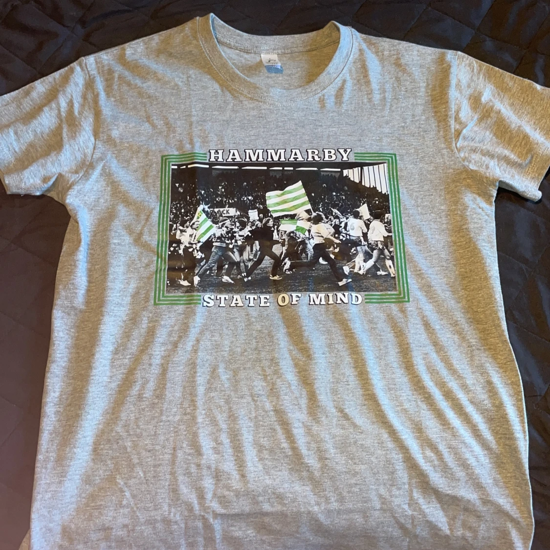 Grå Hammarby t-shirt med tryck