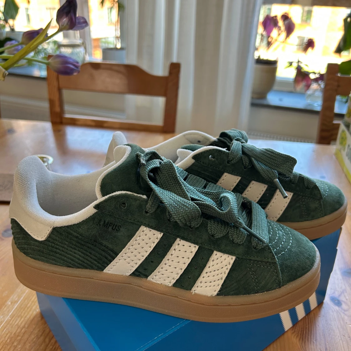 Adidas originals Campus 00s - gröna och naturvita sneakers