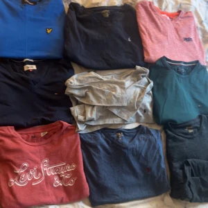 Mix av märkeströjor och t-shirts i olika färger - Säljer ett gäng snygga tröjor och t-shirts i storlek M från Polo Ralph Lauren, Tommy Hilfiger, Lyle & Scott, Levi's och Superdry. Färgerna är blå, grå, röd, grön och svart. Vissa har v-ringning, tryck eller broderad logga. Perfekta för dig som gillar klassiska märken och stilren look. Skriv privat för pris styck eller fler bilder på något plagg!