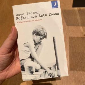 Pojken som inte fanns - En stark och gripande självbiografisk berättelse om att växa upp under svåra förhållanden och kämpa för att hitta trygghet och mening. Perfekt för dig som gillar verklighetsbaserade historier om mod, överlevnad och hopp.