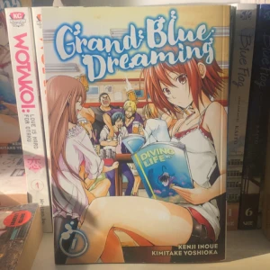 Grand Blue Dreaming - Manga. Serien är skapad av Kenji Inoue och Kimitake Yoshioka och handlar om studentliv och dykning. Den är väldigt fint skick