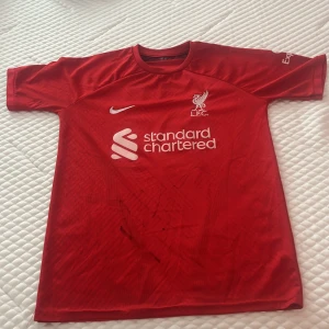 Liverpool Salah #11 Nike matchtröja röd - Liverpool FCs officiella matchtröja med M. Salah och nummer 11 på ryggen. Röd med vita tryck, Standard Chartered och Expedia-loggor, samt 97-symbolen i nacken. Tillverkad i lätt, ventilerande polyester med korta ärmar och rund hals. Perfekt för dig som älskar fotboll och vill representera LFC.