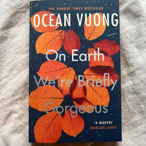 On Earth We're Briefly Gorgeous - En hyllad roman om familj, identitet och att hitta sin plats i världen. Boken är skriven som ett brev från en son till sin mamma och utforskar minnen, kärlek och livets utmaningar. Perfekt för dig som gillar starka berättelser och vill läsa något som berör på djupet.