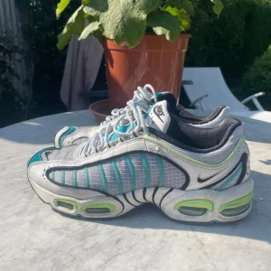 Nike Air Max Tailwind  - Vintage Nike Air Max Tailwind. Fint skick 8/10. Storlek 43. Kan tänka mig gå ner i pris vid snabb affär 🙏