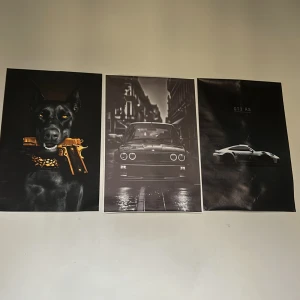 3 Posters  - Säljer 3 posters med Porsche Gt3 rs, en M3a och en kaxig hund. Alla 3 för 99kr, fast pris. 