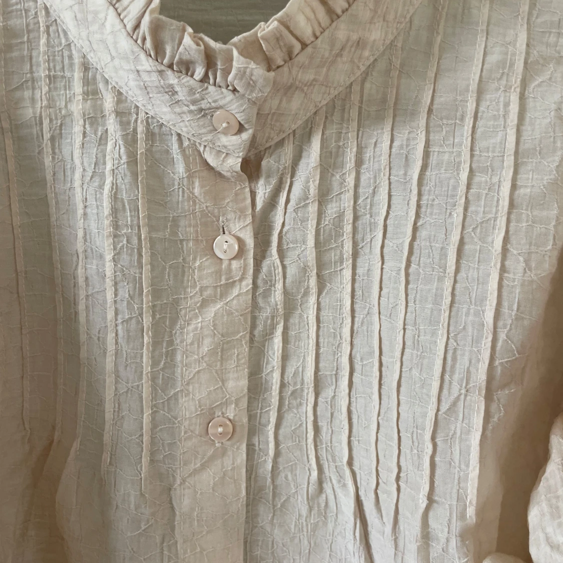 Volangblus mango - 1