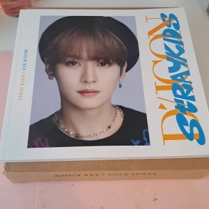 DICON D'FESTA Mini Edition med Stray Kids - Säljer en DICON D'FESTA Mini Edition fotobok med Stray Kids. Boken har ett omslag med en medlem från gruppen och innehåller bilder på hela gruppen. Perfekt för fans av Stray Kids och samlare av K-pop memorabilia.