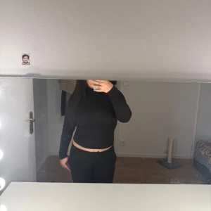 Svart polotröja - Säljer en stilren svart polotröja med lång ärm. Perfekt och enkel att matcha med olika outfits. Tröjan har en tight passform som framhäver figuren. Den har dock en fläck av att jag använt min väska på den som har ett band gjort av metall