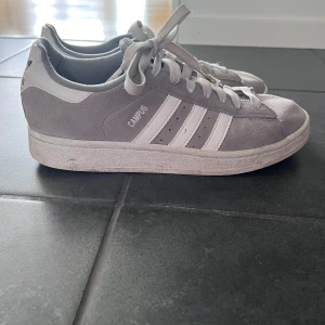 Grå Adidas Campus sneakers - Använda i cirka 3-4 månader men inte mer än det. Storlek 41 1/3