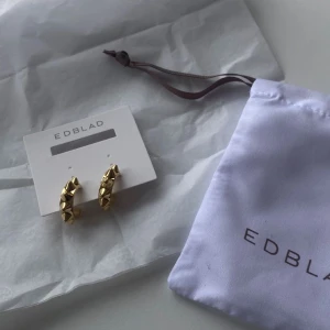 Guldiga örhängen från Edblad - Säljer ett par snygga guldiga örhängen från Edblad med coola nitar. De är halvcirkelformade och ger en edgy känsla till din stil. Kommer med originalpåse. Perfekta för att lyfta vilken outfit som helst! 