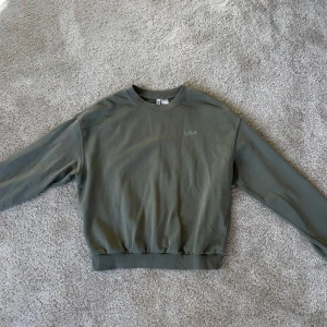 Grön sweatshirt från Divided - Säljer en basic grön sweatshirt från Divided med broderad text 'Love' på bröstet. Lite tunnare så perfekt när det är lite svalt på våren och sommaren. Passar jättebra till XS men även normal på S. Perfekt för en avslappnad look.