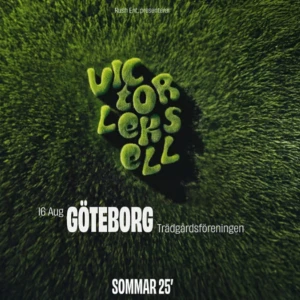 Victor Leksell Göteborg  - 1 biljett till spelningen 16 augusti! Styck pris, skriv innan du köper! Skickar biljetten på SMS🥰🥰