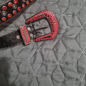 Svart bälte med röda stenar - Snyggt svart bälte dekorerat med röda glittriga stenar. Bältet har en iögonfallande spänne och detaljer som ger en cool look. Perfekt för att ge din outfit en extra edge.