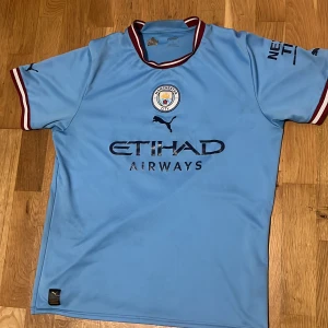 Manchester City matchtröja Puma - Säljer en Manchester Citys officiella matchtröja i ljusblått från Puma. Tröjan har klubbmärke på bröstet, svarta Puma-loggor och sponsortryck. Krage och ärmslut har vita och vinröda detaljer. Tillverkad i lätt och ventilerande material, perfekt för fotboll eller supporterliv. Säljer den för den inte kom till användning och den är såklart äkta som man ser på bild 2. Ursprungliga priset 1100kr och säljer den för 599kr