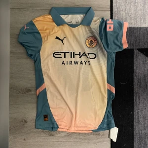 Manchester city 24/25 fjärdetröja  - Säljer nu min manchester city tröja då jag aldrig använt den för att jag råkade köpa en storlek större och råkade ta av etiketten så jag inte kan lämna tillbaka den, perfekt för dig som hejar på manchester city. Säljer den billigt för jag bara vill bli av med den.🙂