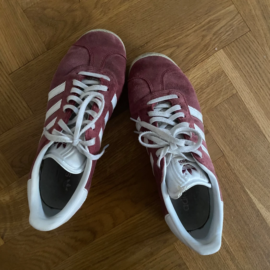 Adidas Gazelle i vinröd mocka
