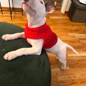 Röd stickad hundtröja - Snyggt stickad röd tröja för hund, perfekt för kyliga dagar. Tröjan har en ribbad krage och är ärmlös för smidig passform. Den är gjord i ett mjukt och värmande material som håller din hund både varm och stylish.