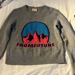 Grå stickad tröja från From Future - Säljer en snygg trendig grå stickad tröja från From Future med tryck! Nästan aldrig använd så i otroligt bra skick! 😁☺️ Nypris ca 2800kr! 100% cachemire 