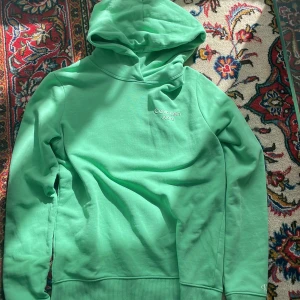 Mintgrön hoodie från Calvin Klein Jeans - Snygg mintgrön hoodie från Calvin Klein Jeans med vit logga på bröstet och cK-detalj på ärmen. Klassisk huva och ribbade muddar. Perfekt för dig som gillar stilrena och fräscha färger. Materialet är mjukt och skönt, troligtvis bomullsmix.