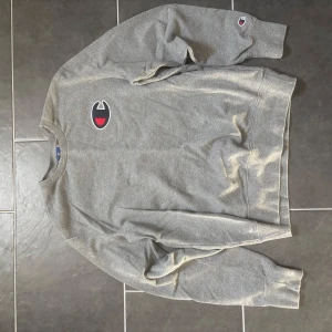 Grå sweatshirt från Champion - Säljer en klassisk grå sweatshirt från Champion med deras ikoniska logga på bröstet och ärmen. Tröjan har långa ärmar och ribbade muddar vid ärmslut och nederkant. Perfekt för en avslappnad stil.