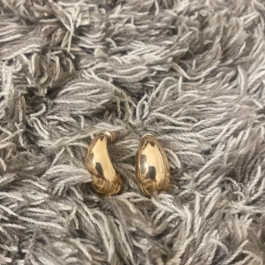 Guldiga trendiga örhängen  - Guldiga trendiga örhängen 