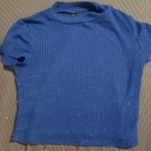 Blå ribbad topp - Snygg blå ribbad topp med korta ärmar. Perfekt för en avslappnad stil. Toppen har en glittrig finish som ger en extra touch. Den är noprig