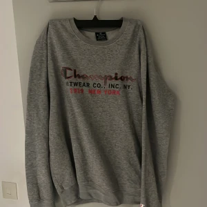 Grå sweatshirt från Champion - Säljer en grå sweatshirt från Champion med tryck på framsidan. Tröjan har långa ärmar och en rund halsringning. Perfekt för en avslappnad stil.