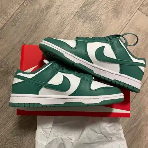 Nya helt oanvända nike dunks low sneakers i storlek 38