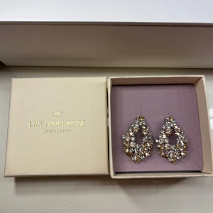 Glittriga örhängen från Lily and Rose - Eleganta och glittriga örhängen från Lily and Rose. Stor i modellen! Aldrig använda!