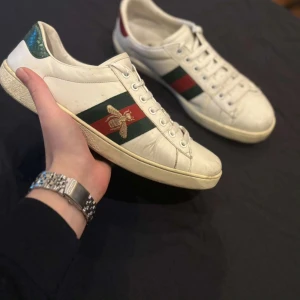 Gucci ace - Säljer dessa stilrena gucci ace I storlek 42,5. Äkta såklart (nypris är 7500 kr). Tveka inte på att höra av er vid frågor och funderingar😁