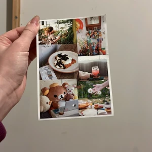 Kuromi stickers  - Ett collage av bilder som visar olika vardagliga scener, inklusive en person som arbetar i en trädgård, en tallrik med mat, en samling färgglada pennor, en nallebjörn vid en dator och en hand som håller en blomma.