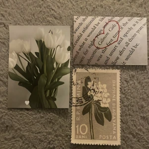 Posters - Posters med glansig yta, storlekar på sista bilden! Säljer massa fler 🤍