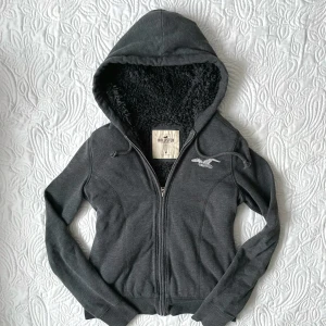 Vintage hollister zipup hoodie med päls - Fraktar elr möts upp! Har päls grej inuti också🙏fågel mönstret är i paljetter