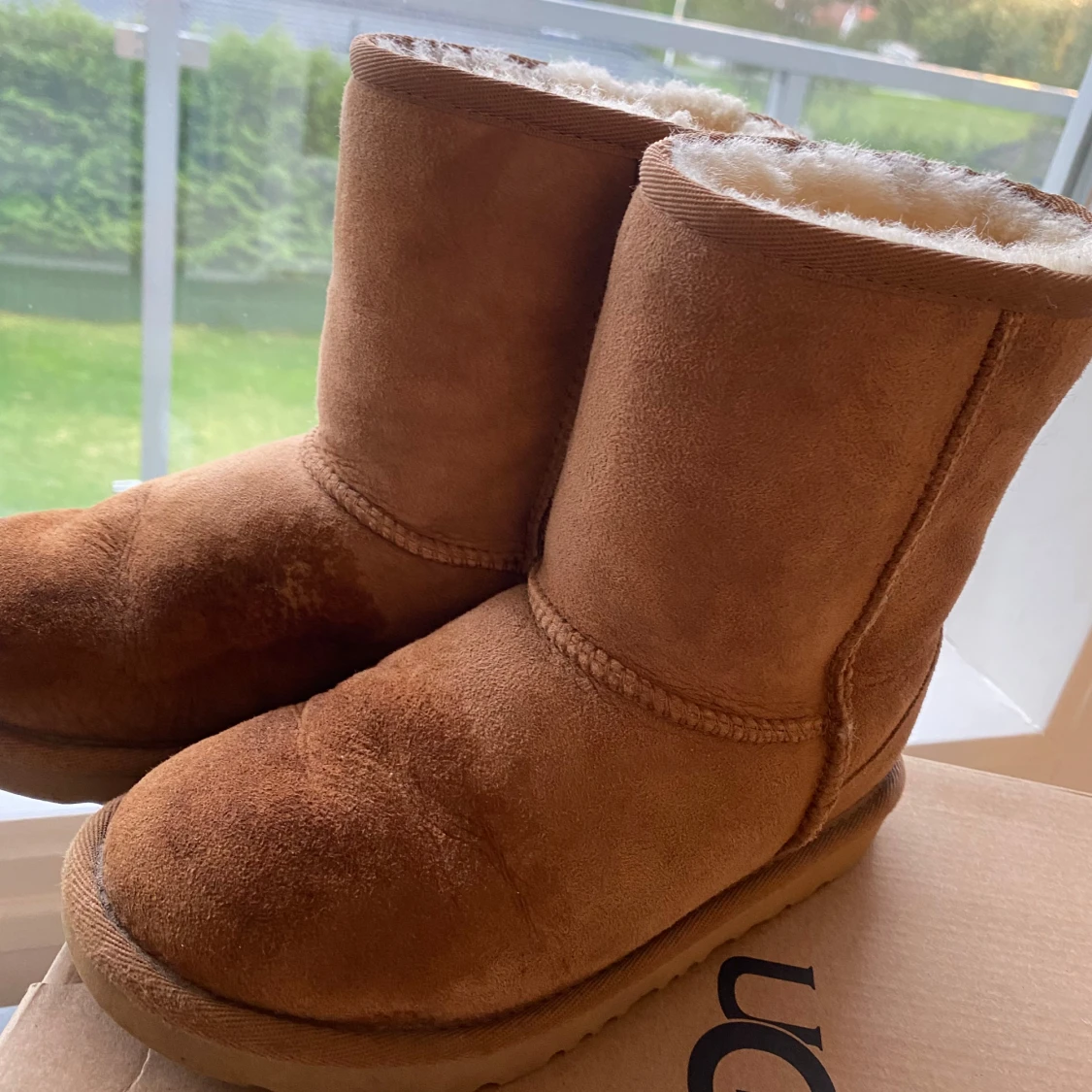 Ett par äkta uggs🌟