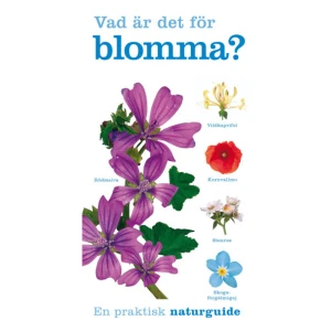 Vad är det för blomma? (häftad) - Den ultimata floran för nybörjare!Bokens enkla upplägg och tydliga bilder hjälper dig att skilja på blommor som liknar varandra.Producerad i samarbete med RPSB - Europas största organisation för naturskydd med över 1 miljon medlemmar.     Format Häftad   Omfång 128 sidor   Språk Svenska   Förlag Tukan förlag   Utgivningsdatum 2020-05-22   Medverkande Shu-Chin Hysing   ISBN 9789177839644  