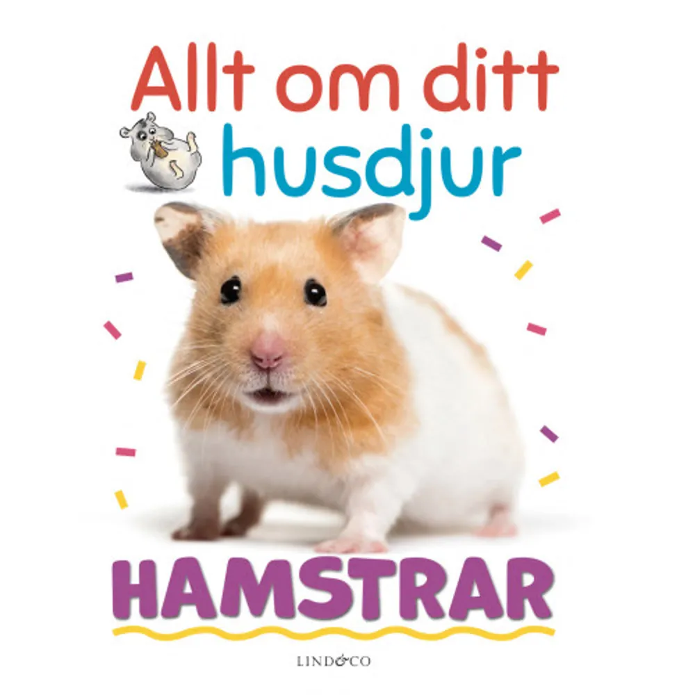 Allt om ditt husdjur. hamstrar är fullspäckad med fakta och matnyttig info om din hamster. Här får du reda på allt du behöver veta för att din hamster ska trivas och må bra. Vad vill hamstern ha att äta och vad tycker den inte om? Vad gillar den att leka med och vad stressar den? Du får också lära dig att hålla både din hamster och buren ren, hur du vet om din hamster är sjuk och vad den vill ha att gnaga på. Förutom fakta är boken full av fina bilder på söta, roliga och lurviga hamstrar. I slutet av boken finns ett quiz där du kan testa dina nyvunna hamsterkunskaper.I samma serie finns även: Allt om ditt husdjur. hundar (2023) Allt om ditt husdjur. katter (2023) Allt om ditt husdjur. kaniner (2024)    Format Inbunden   Omfång 32 sidor   Språk Svenska   Förlag Lind & Co   Utgivningsdatum 2024-02-07   Medverkande Charlotte Cotterill   Medverkande Sara Jonasson   ISBN 9789180531122  . Böcker.