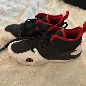 Nike jordan skor - Äkta air jordans 4